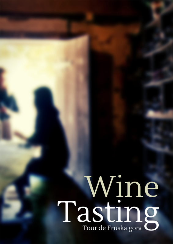 vacation in serbia Novi Sad tour